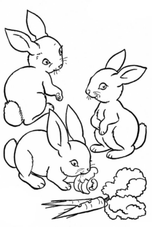 Disegno di coniglio da stampare e colorare 149