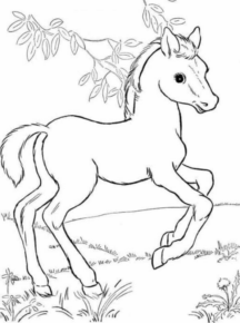 Disegno di cavallo da stampare e colorare 233