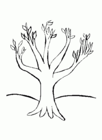 Disegno di albero da stampare e colorare 61