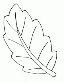 Disegno di foglia da stampare e colorare 55