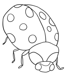 Disegno di coccinella da stampare e colorare 27