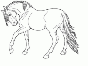 Disegno di cavallo da stampare e colorare 61