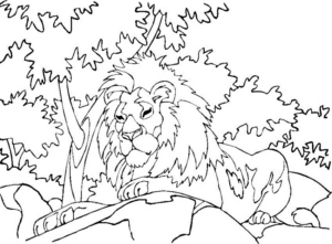 Disegno di leone da stampare e colorare 76