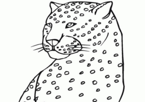 Disegno di leopardo da stampare e colorare 4