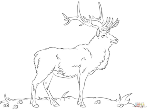 Disegno di renna da stampare e colorare 22