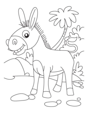 Disegno di asino da stampare e colorare 18