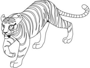 Disegno di tigre da stampare e colorare 44