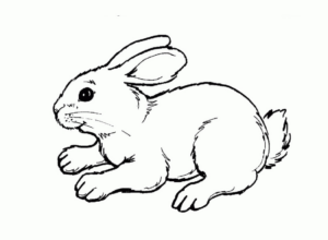 Disegno di coniglio da stampare e colorare 200