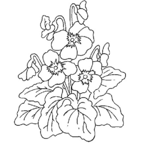 Disegno di fiore da stampare e colorare 176