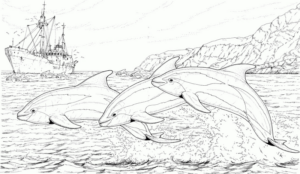 Disegno di delfino da stampare e colorare 35