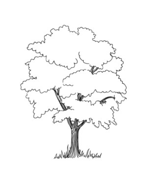 Disegno di albero da stampare e colorare 38