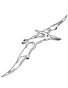 Disegno di Pterodattilo da stampare e colorare 12