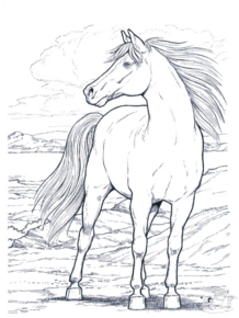 Disegno di cavallo da stampare e colorare 91