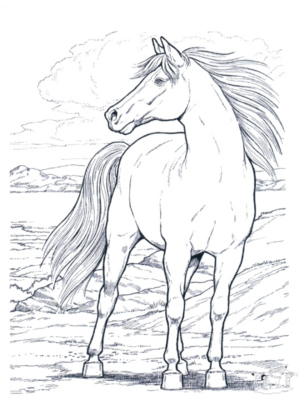 Disegno di cavallo da stampare e colorare 91