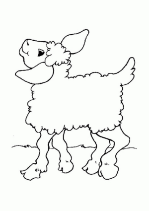 Disegno di pecora da stampare e colorare 44