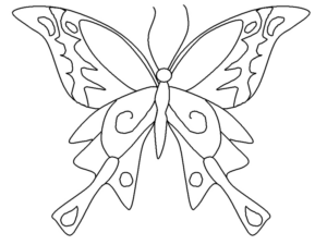 Disegno di farfalla da stampare e colorare 114
