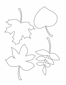 Disegno di foglia da stampare e colorare 73