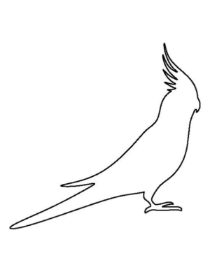 Disegno di pappagallo da stampare e colorare 182