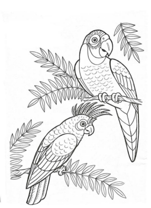 Disegno di pappagallo da stampare e colorare 98