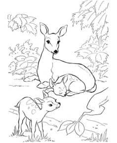Disegno di cerbiatto da stampare e colorare 9