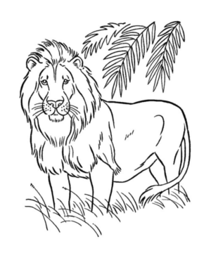 Disegno di leone da stampare e colorare 80