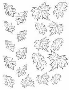 Disegno di foglia da stampare e colorare 59