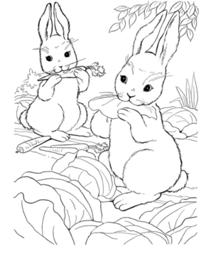 Disegno di coniglio da stampare e colorare 50