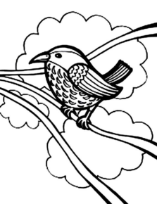Disegno di uccello da stampare e colorare 11