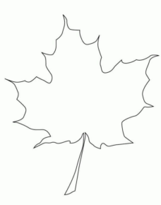 Disegno di foglia da stampare e colorare 23