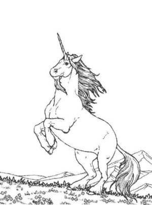 Disegno di unicorno da stampare e colorare 147