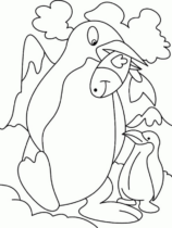 Disegni di Pinguini da colorare
