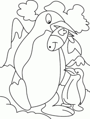 Disegno di pinguino da stampare e colorare 12
