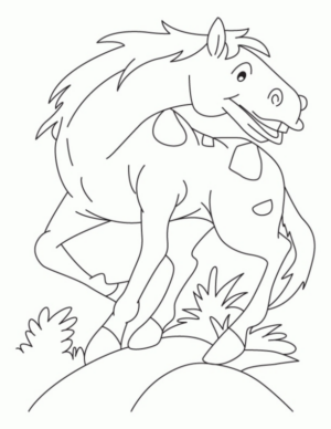 Disegno di cavallo da stampare e colorare 21
