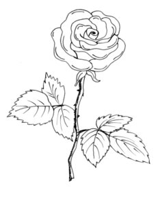 Disegno di fiore da stampare e colorare 482