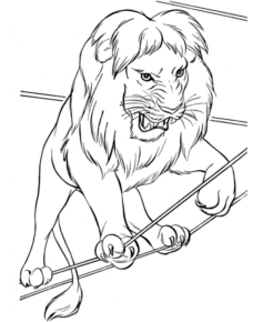 Disegno di leone da stampare e colorare 46
