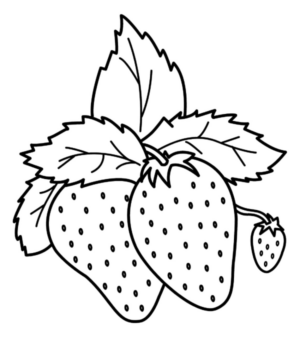 Disegno di fragola da stampare e colorare 18