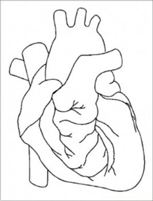 Disegno di parti del corpo da stampare e colorare 15