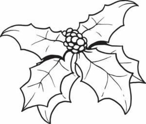 Disegno di pungitopo da stampare e colorare 24