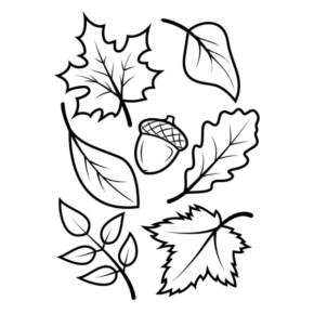 Disegno di ghianda da stampare e colorare 10