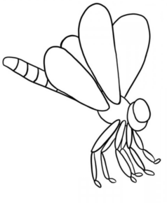 Disegno di libellula da stampare e colorare 8