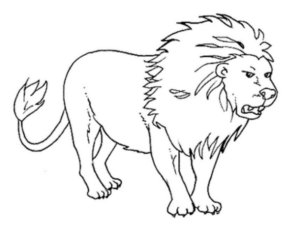 Disegno di leone da stampare e colorare 13