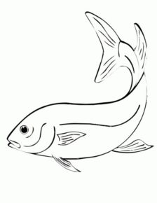 Disegno di pesce da stampare e colorare 32