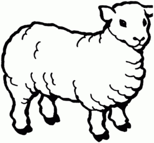 Disegno di pecora da stampare e colorare 66