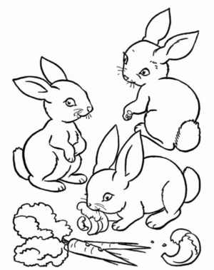 Disegno di coniglio da stampare e colorare 115