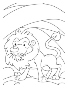 Disegno di leone da stampare e colorare 26