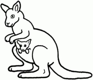 Disegno di canguro da stampare e colorare 34