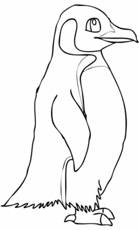 Disegno di pinguino da stampare e colorare 4