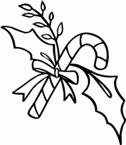 Disegno di pungitopo da stampare e colorare 3