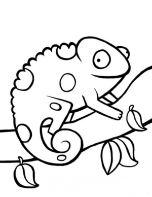 Disegno di camaleonte da stampare e colorare 5