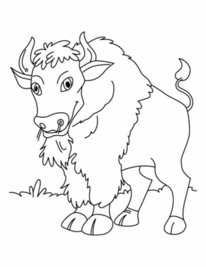 Disegno di toro da stampare e colorare 2